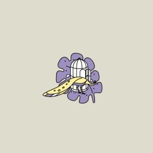 PIN OFICIAL